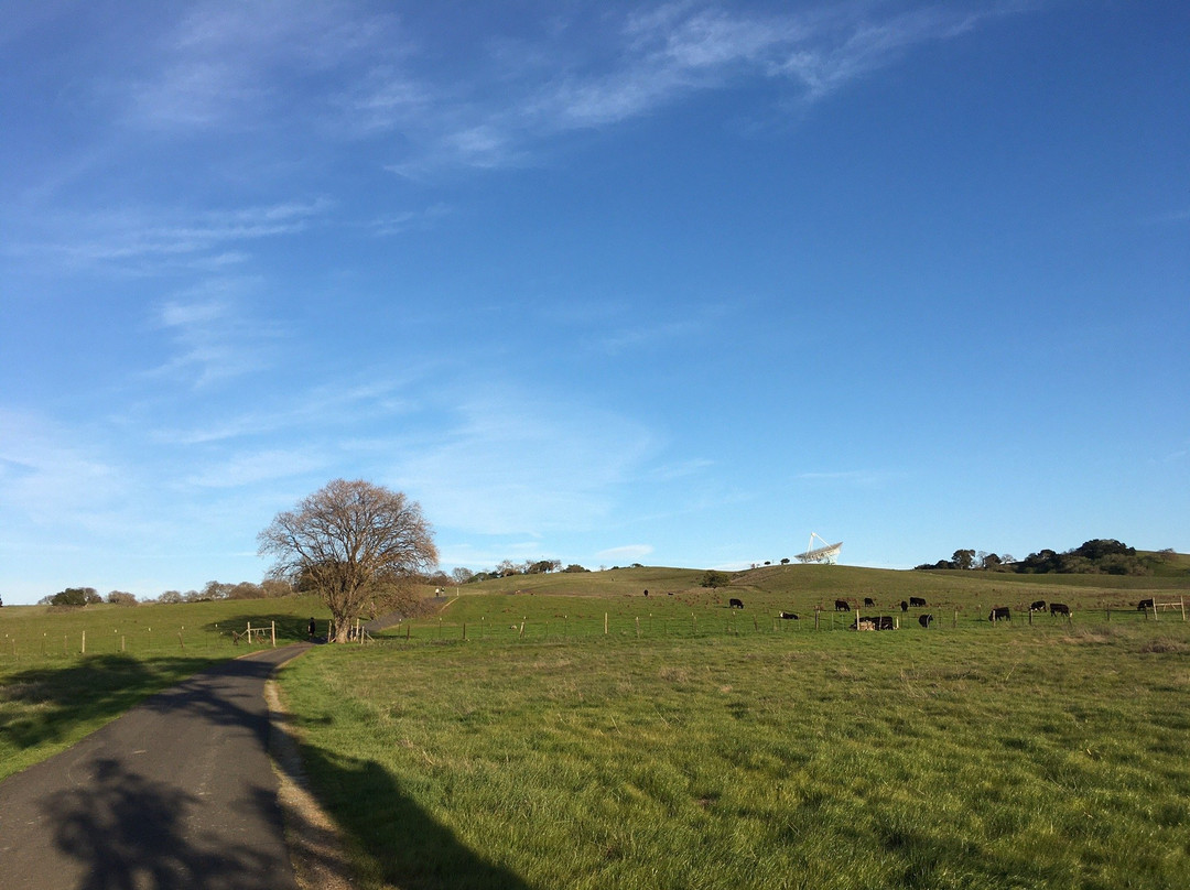 The Stanford Dish-帕罗奥多必去景点
