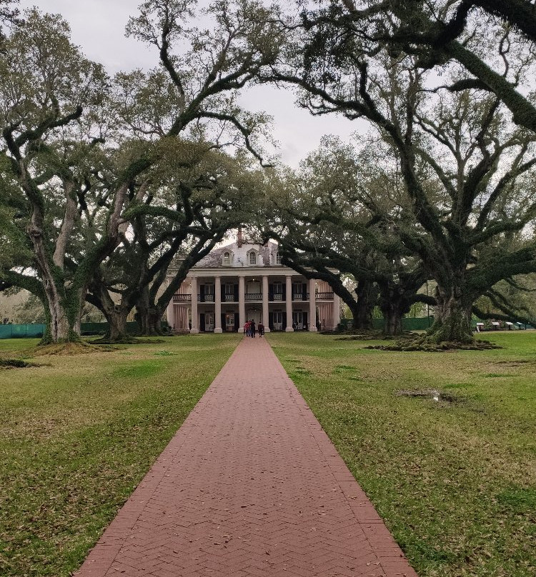 Cajun Pride Tours景点图片