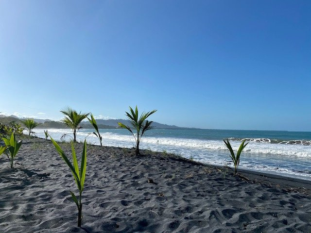 Playa Negra景点图片