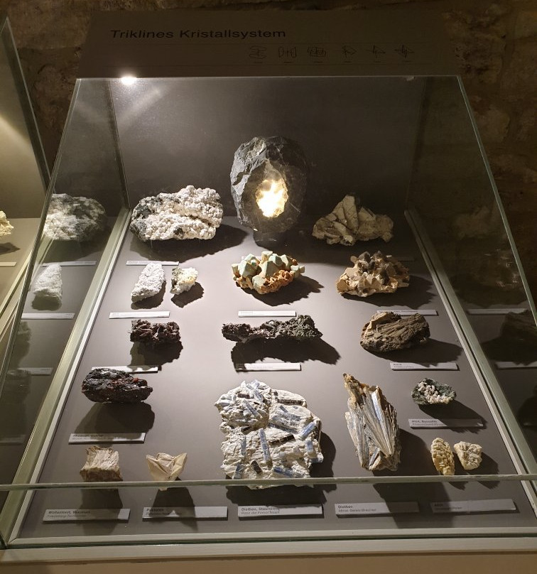 Naturkundemuseum-爱尔福特必去景点