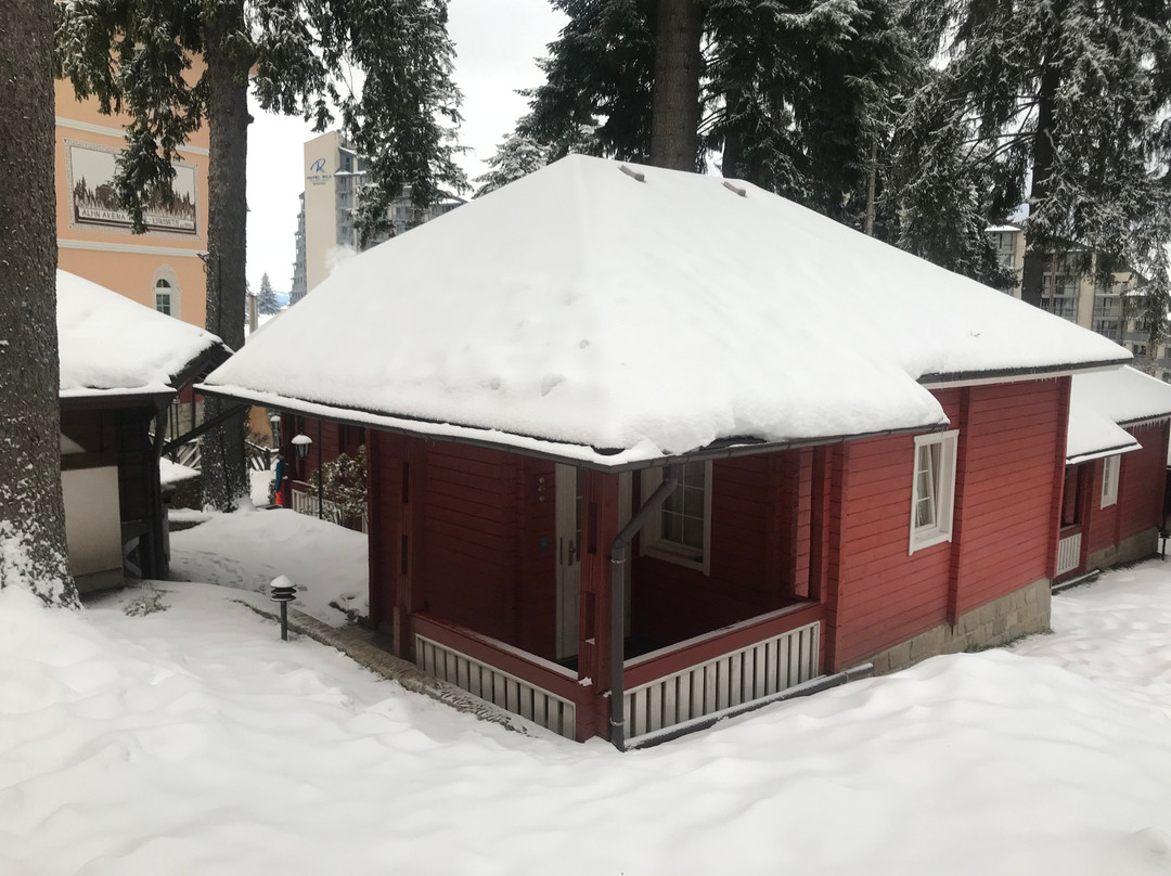 阿尔卑斯酒店主图