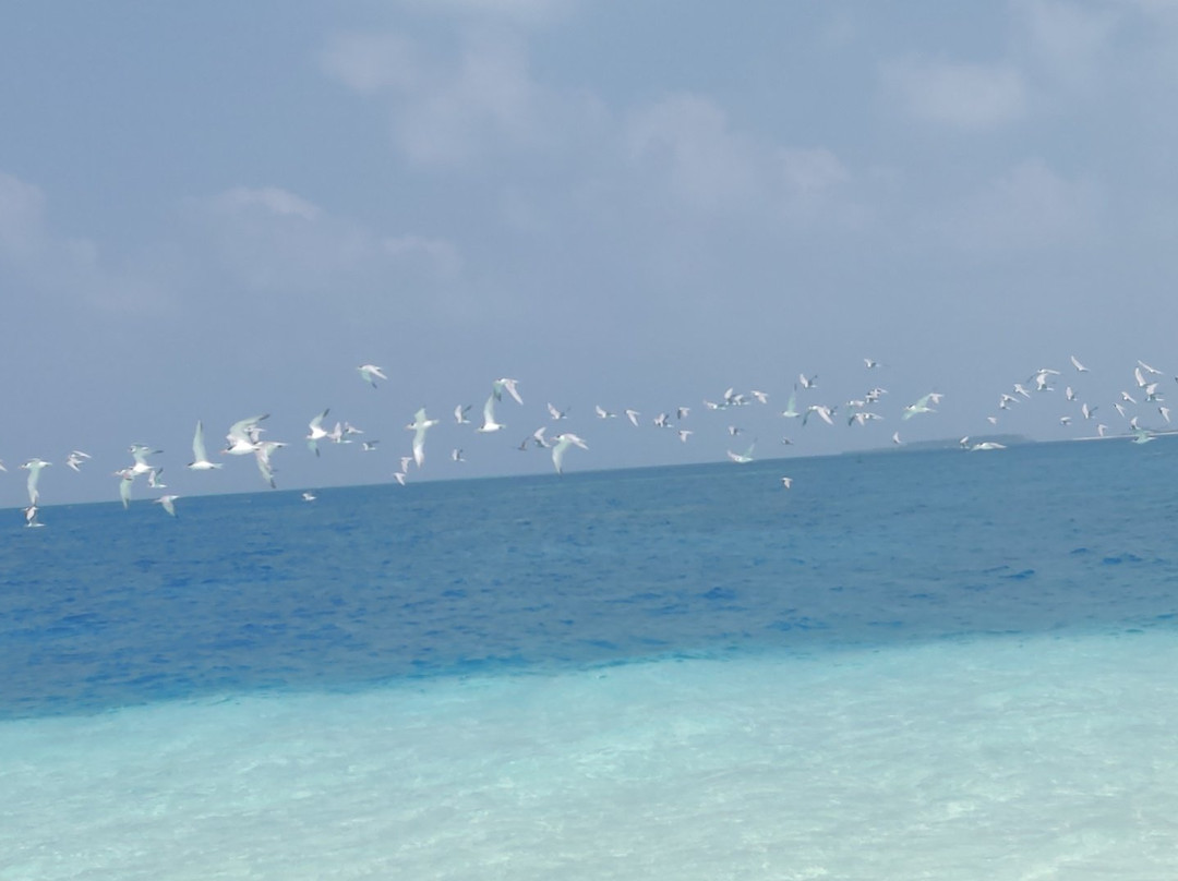 Lakshadweep Yathra Holidays-Agatti必去景点