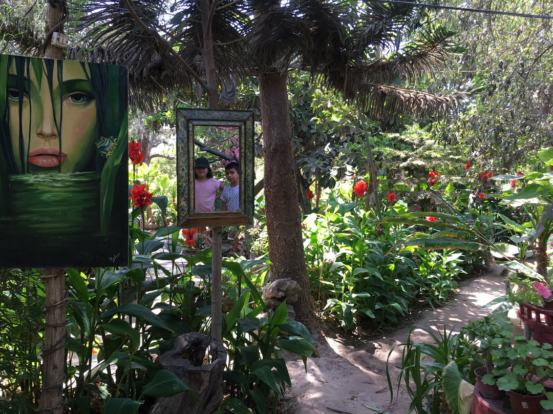 Santuario Del Picaflor-阿里卡必去景点