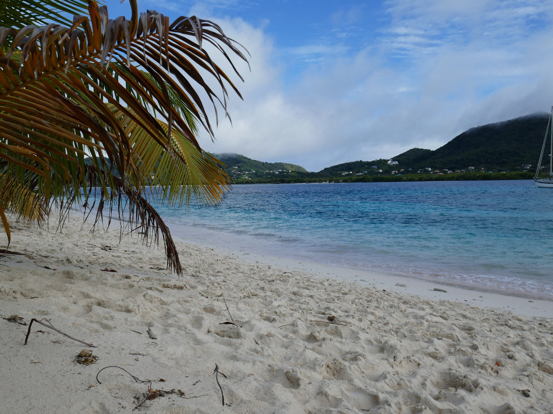 Sandy Island-Carriacou Island必去景点