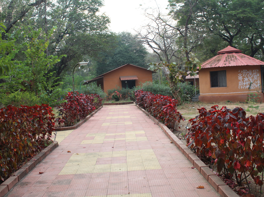 Kawal Wildlife Sanctuary景点图片