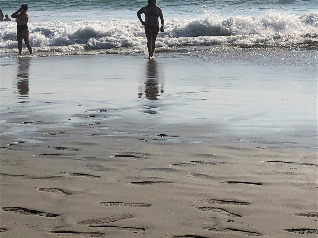 Playa Espadilla Norte景点图片