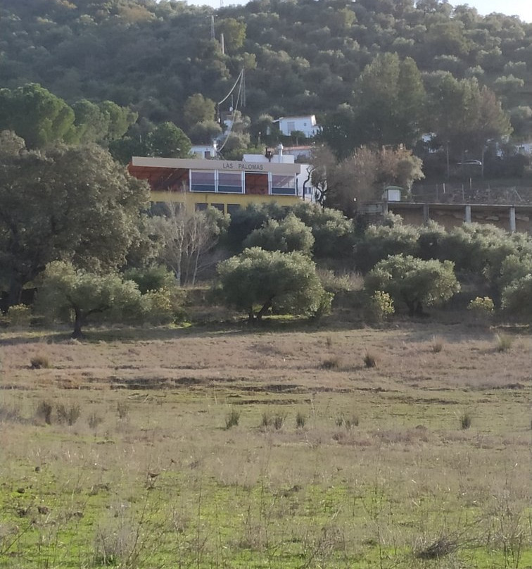 Las Palomas Aparthotel主图