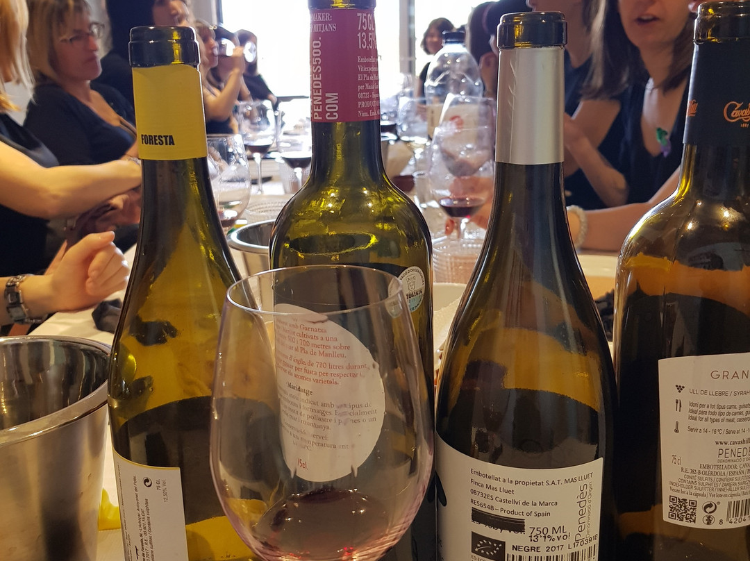 Cal Roig - Unique Wine Experience景点图片