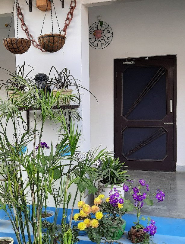 Iora Guest House主图