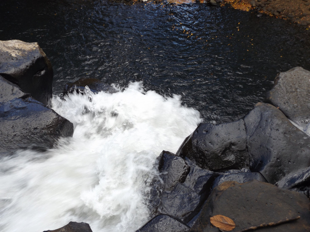 Rochester Falls-Souillac必去景点