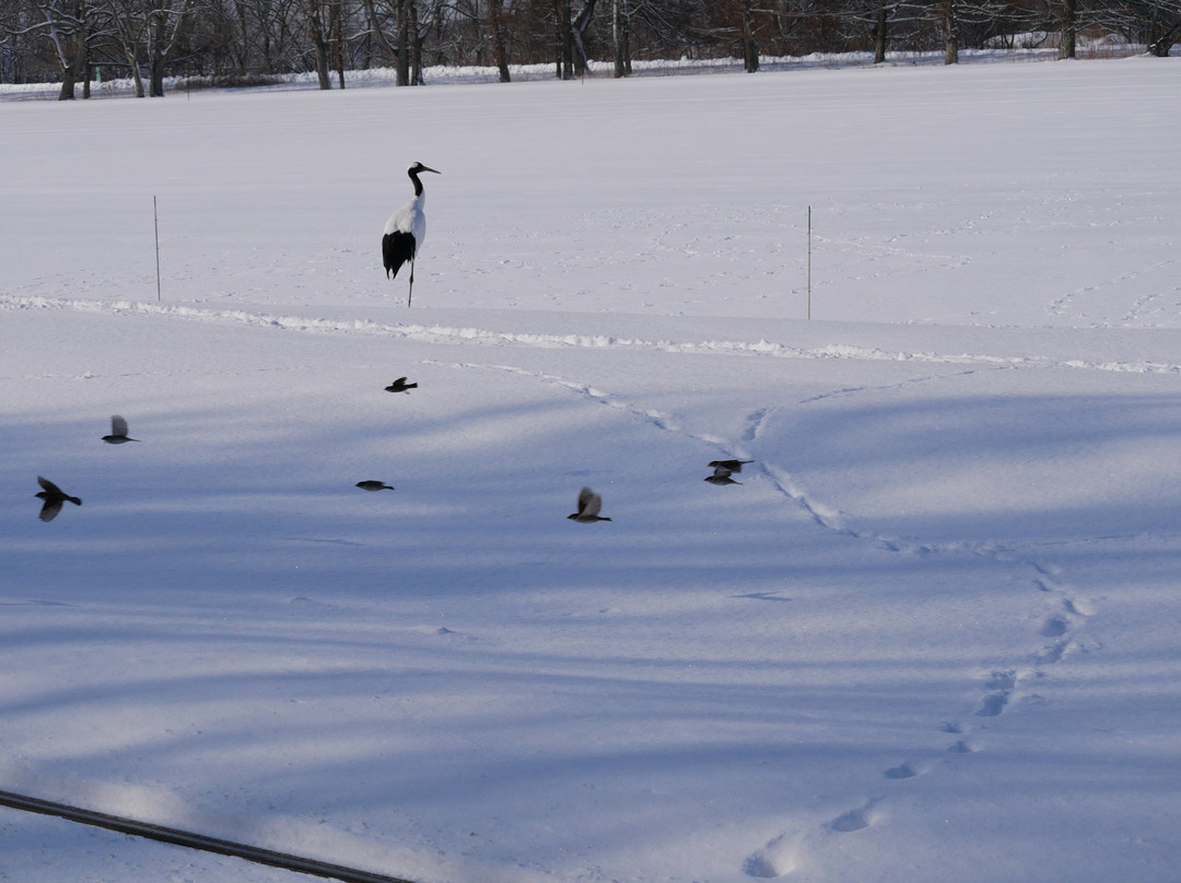 Kayanuma Station-标茶町必去景点