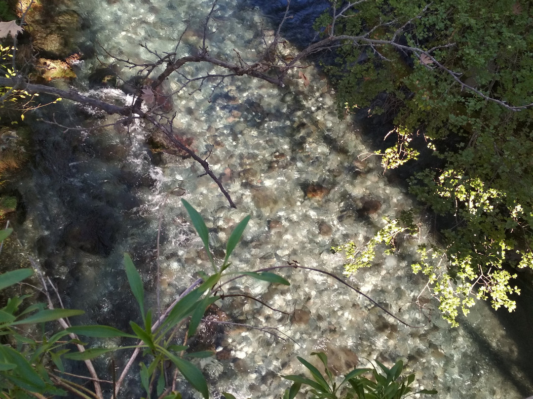 Lousios River-Dimitsana必去景点