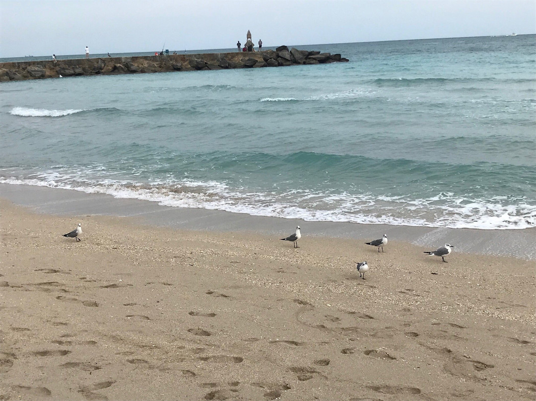 Bal Harbour Beach景点图片