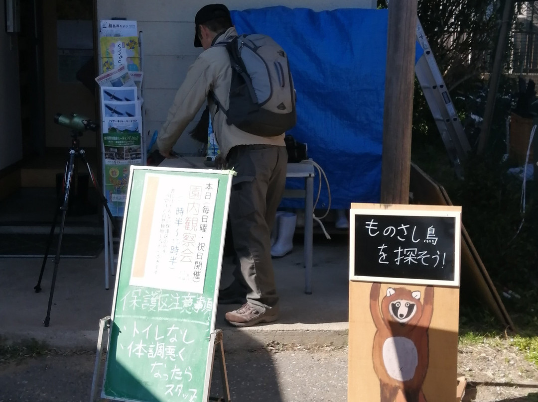 Gyotoku Birdwatching Facility-市川市必去景点