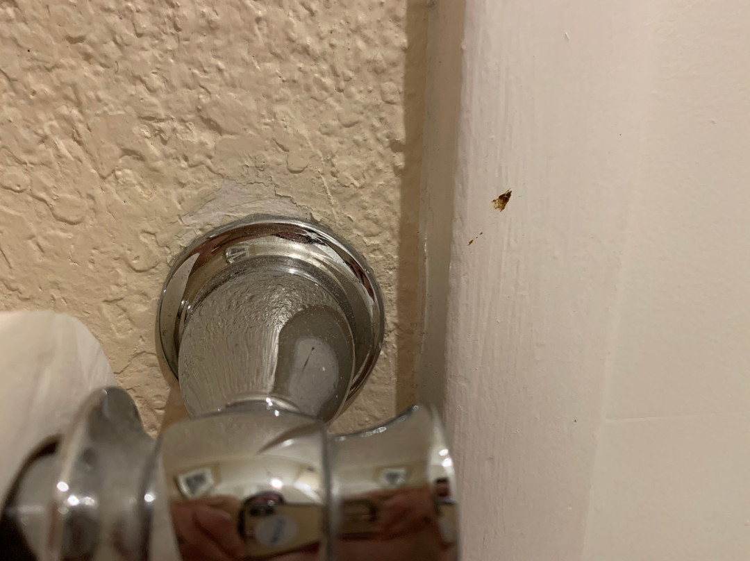 Courtyard by Marriott San Diego Del Mar/Solana Beach主图