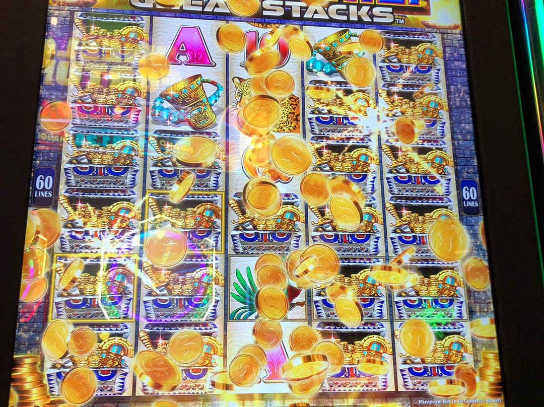 Chances Maple Ridge-枫树岭必去景点