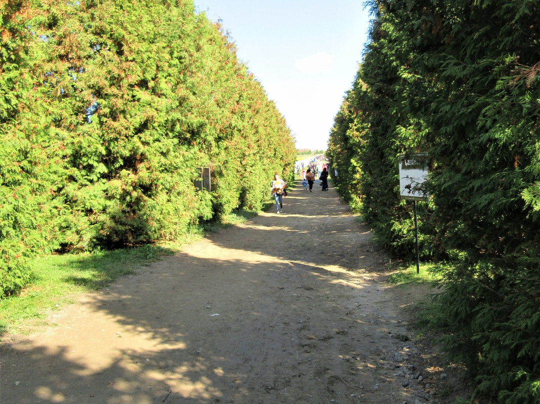 Vignoble Les Vents D'ange-Saint-Joseph-du-Lac必去景点