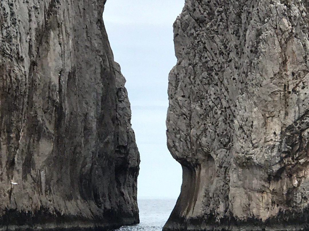 IAMME IA Gray Line-索伦托必去景点