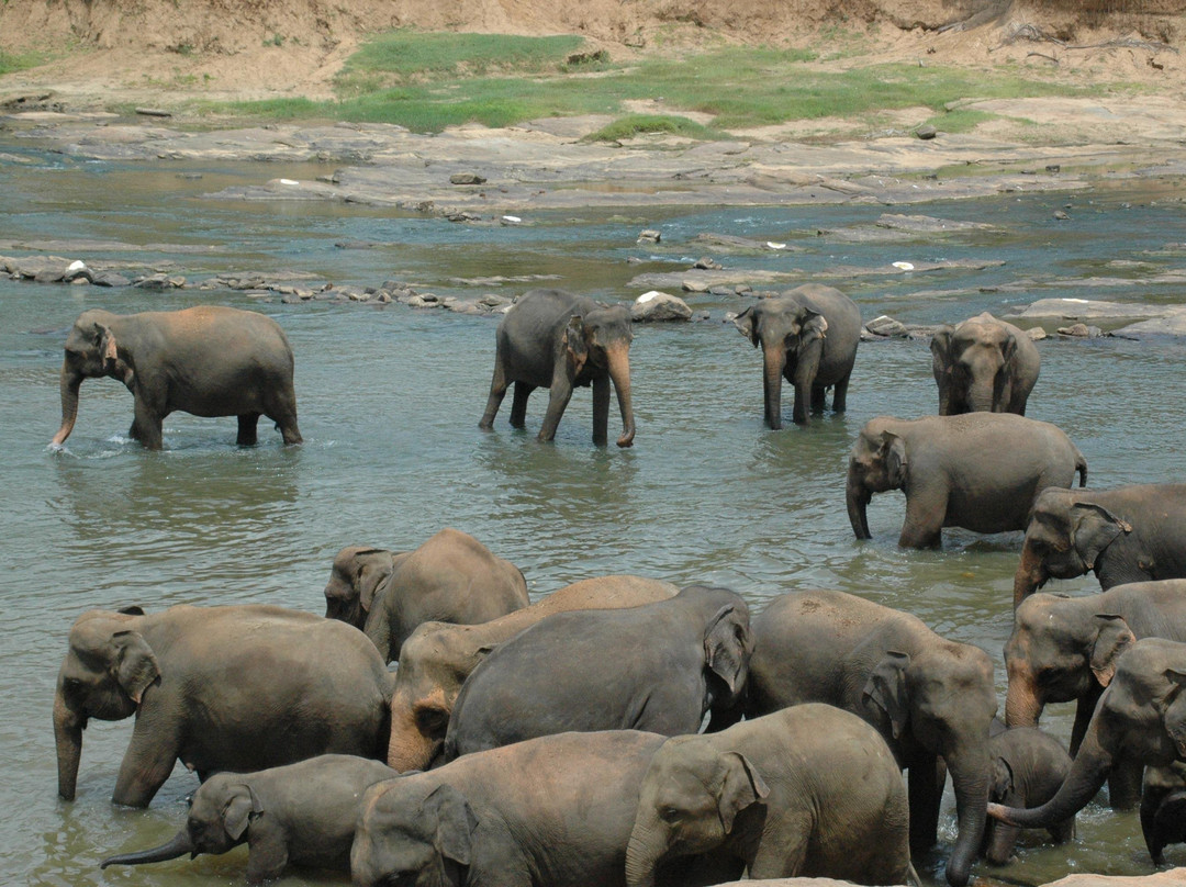 Pleasant Lanka Tours-Kandana必去景点