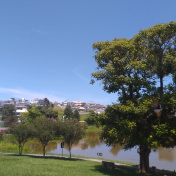 Passeio Pedra Branca景点图片