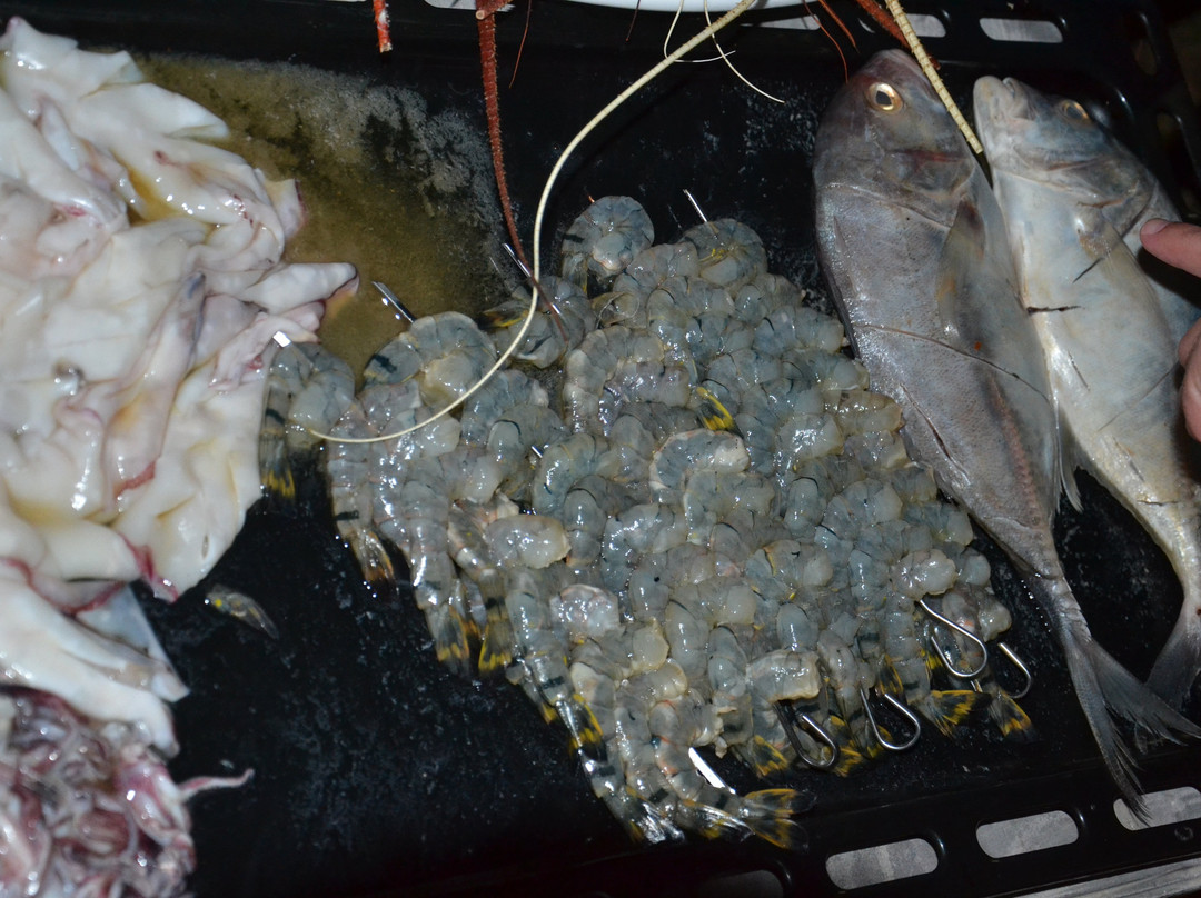 Silverlane Beachhouse主图