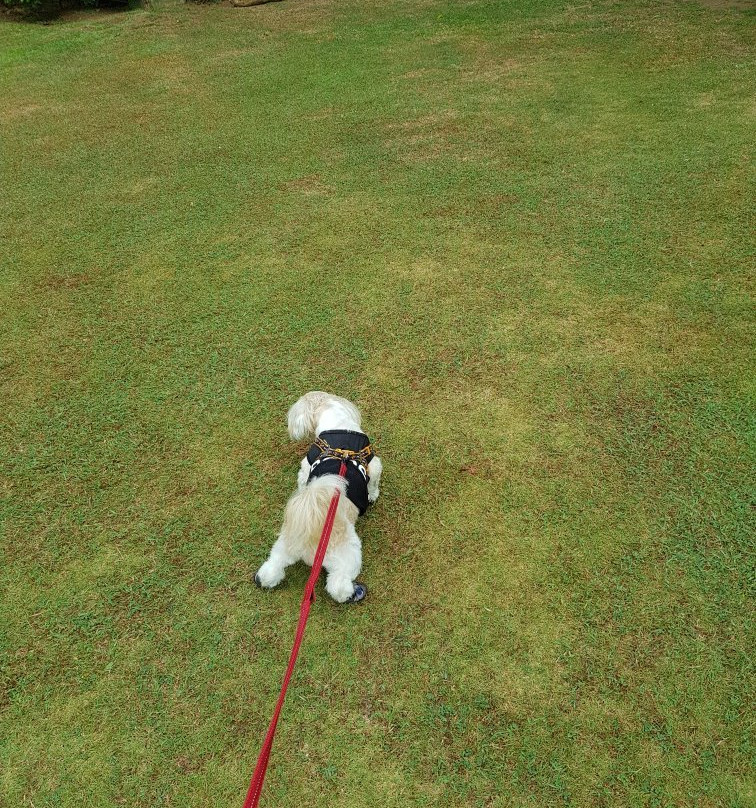 Jo and Johnny's Beach and Dive Inn主图