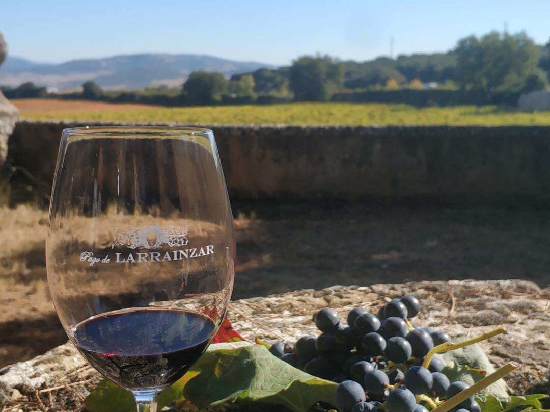 Bodegas Pago de Larrainzar-Ayegui必去景点