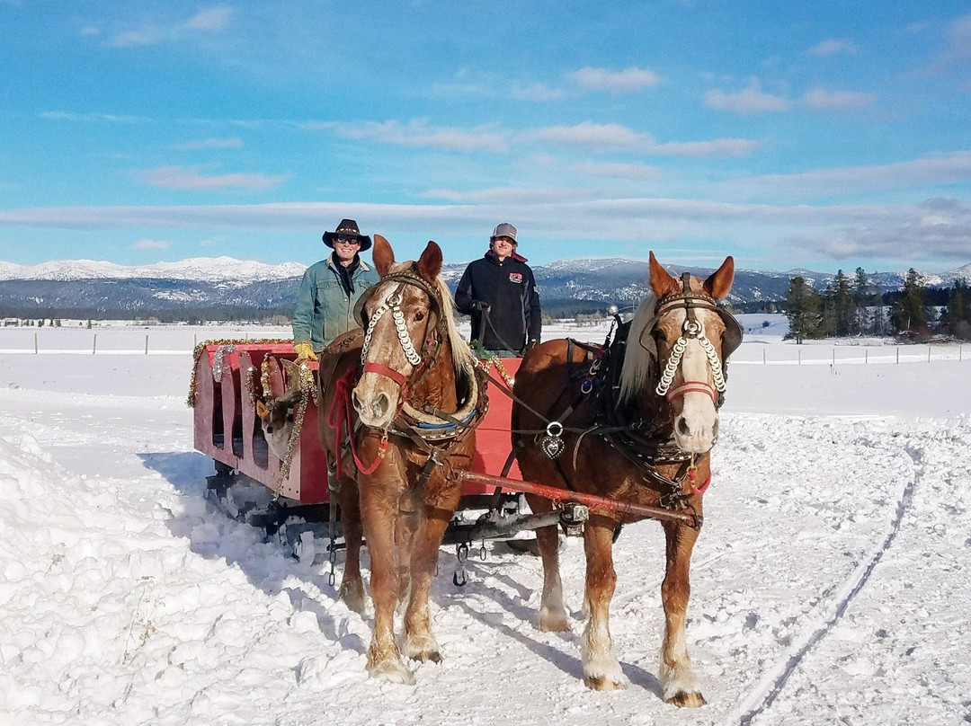 McCall's Activity Barn-McCall必去景点