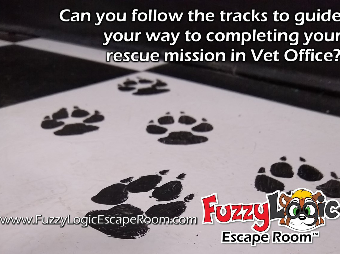 Fuzzy Logic Escape Room-道纳斯格罗夫必去景点