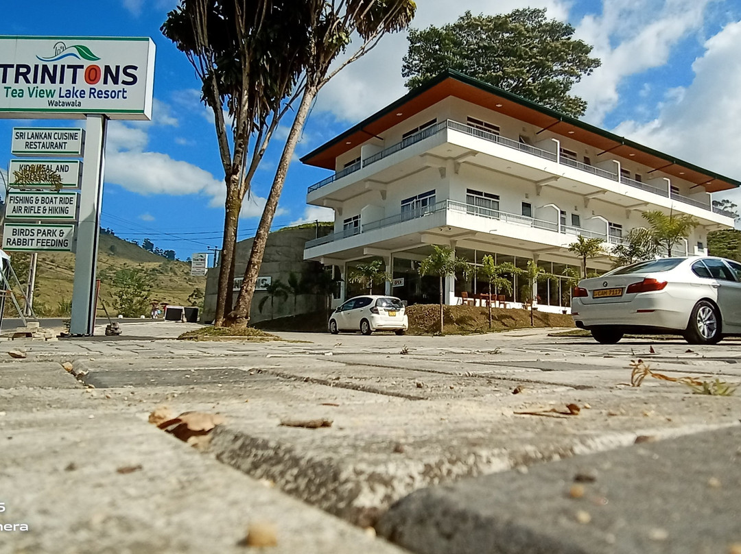 Trinitons Tea View Lake Resort主图
