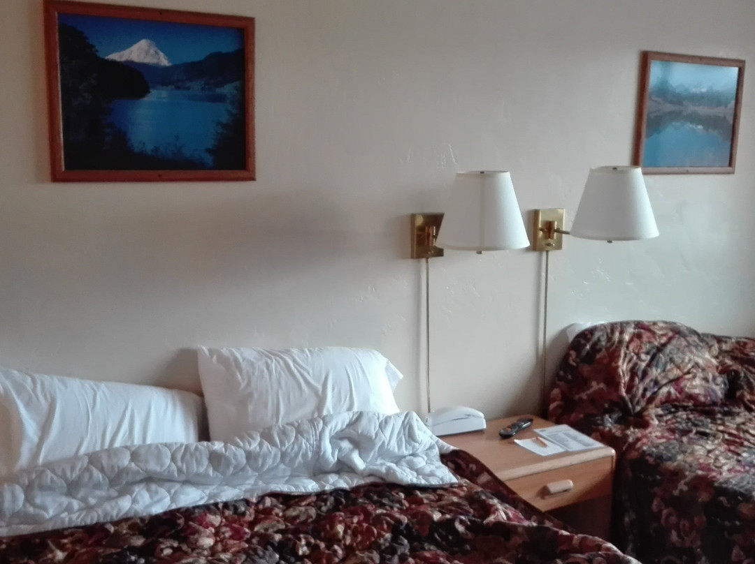 Aneth Lodge Budget 6主图