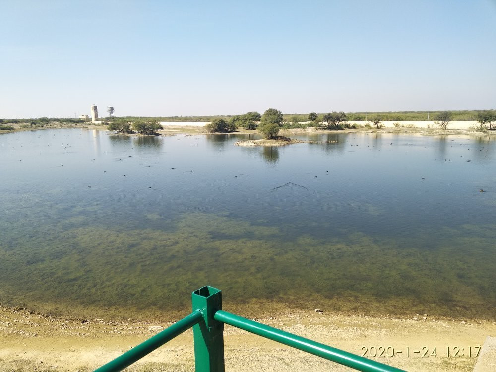 Gudo Bishnoi Lake景点图片