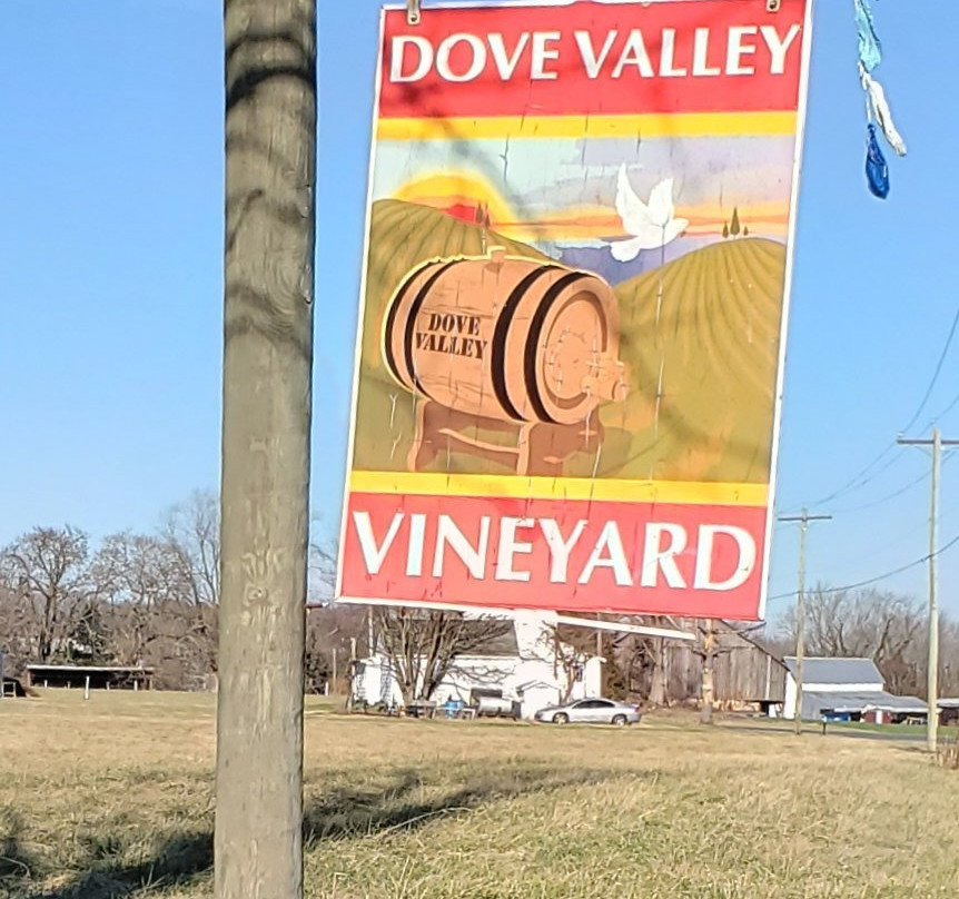 Dove Valley Winery景点图片