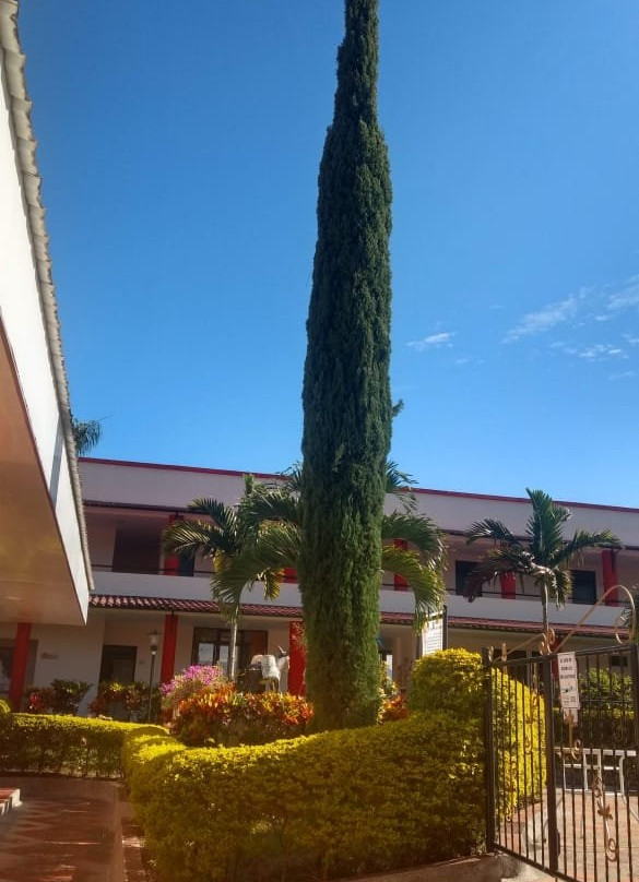 Hotel Balcones De La Pradera主图