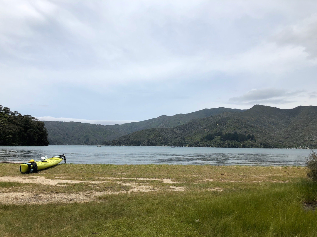 Marlborough Sounds Adventure Company - Day Tours景点图片