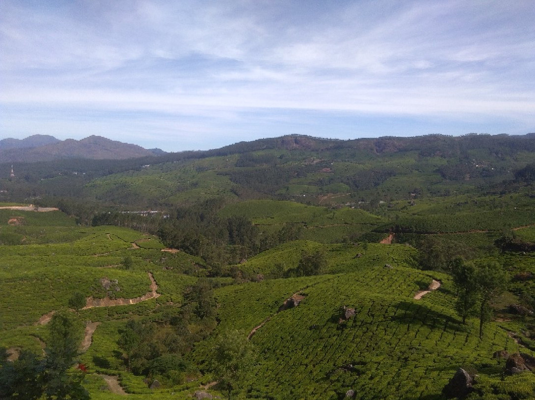 Munnar Taxi Sevice景点图片