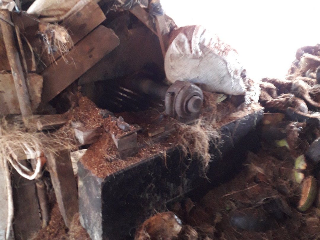 Inside Srilanka Tours-希克杜沃必去景点