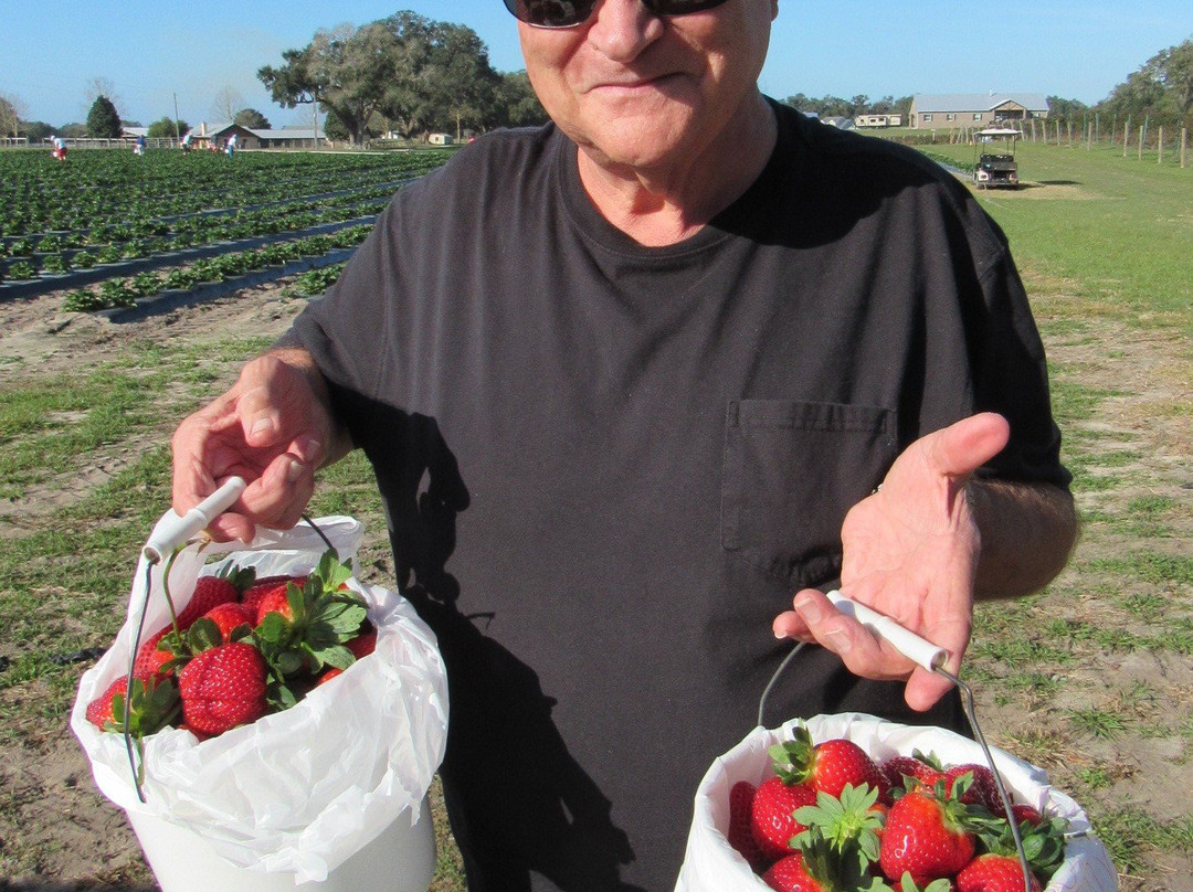 Back Road Berries-Oxford必去景点