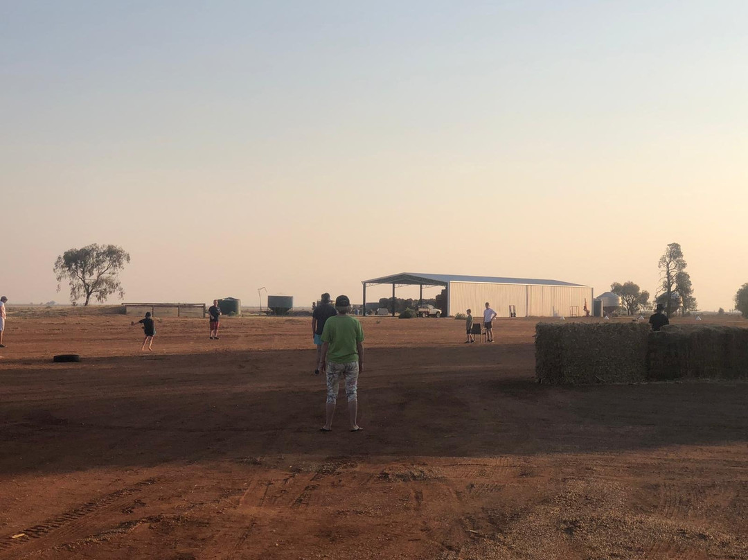 Corynnia Station主图