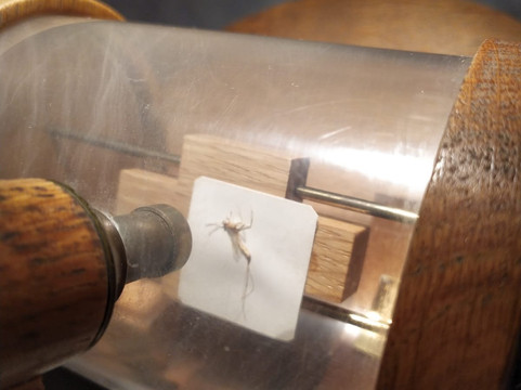 Museum of Miniatures-布拉格必去景点