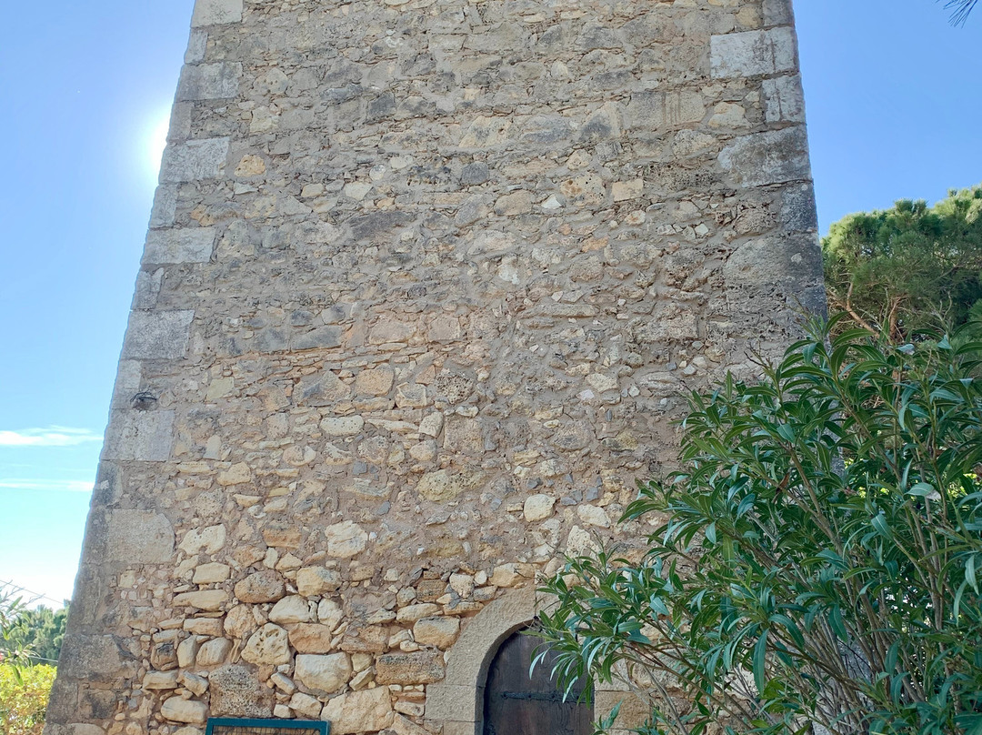 Torre da Medronheira景点图片