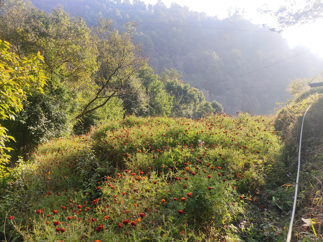 Nagarkot Panoramic Hiking Trail-纳加阔特必去景点