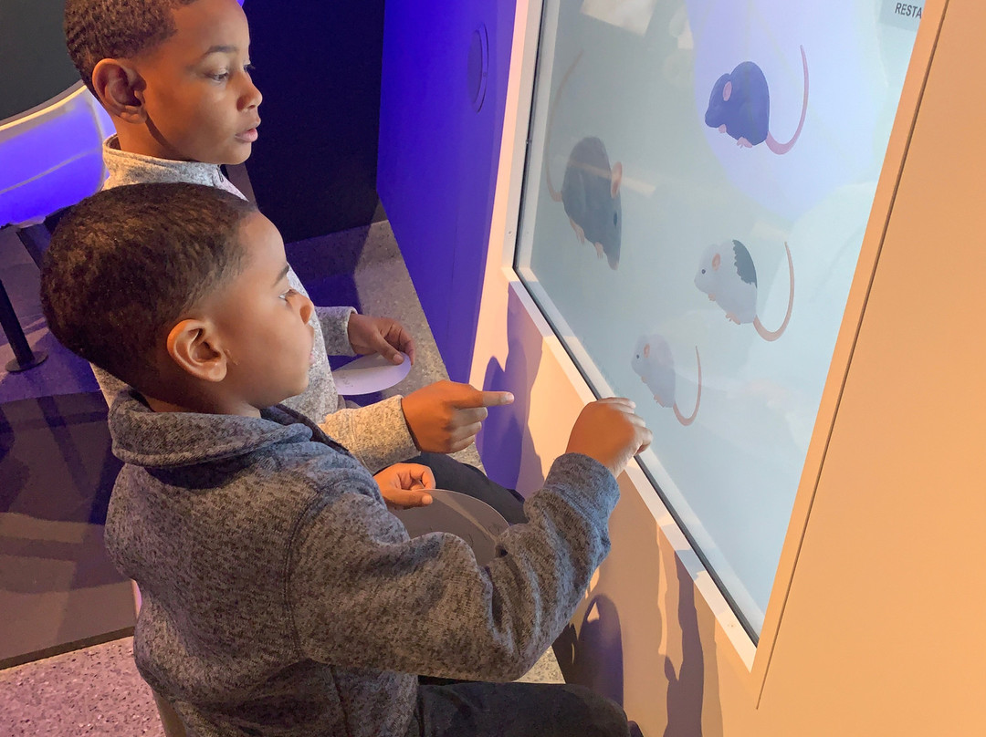 University of Michigan Museum of Natural History-安娜堡必去景点