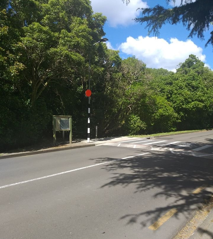 Bledisloe Park Walk景点图片