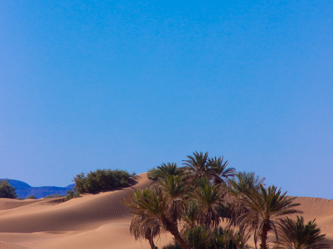 Morocco Desert Charm-迈哈米德必去景点