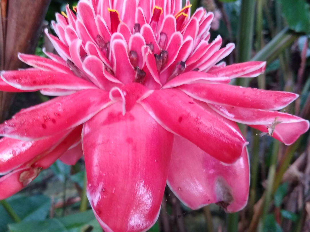 Abeokuta Paradise Nature Park-蒙特戈贝必去景点