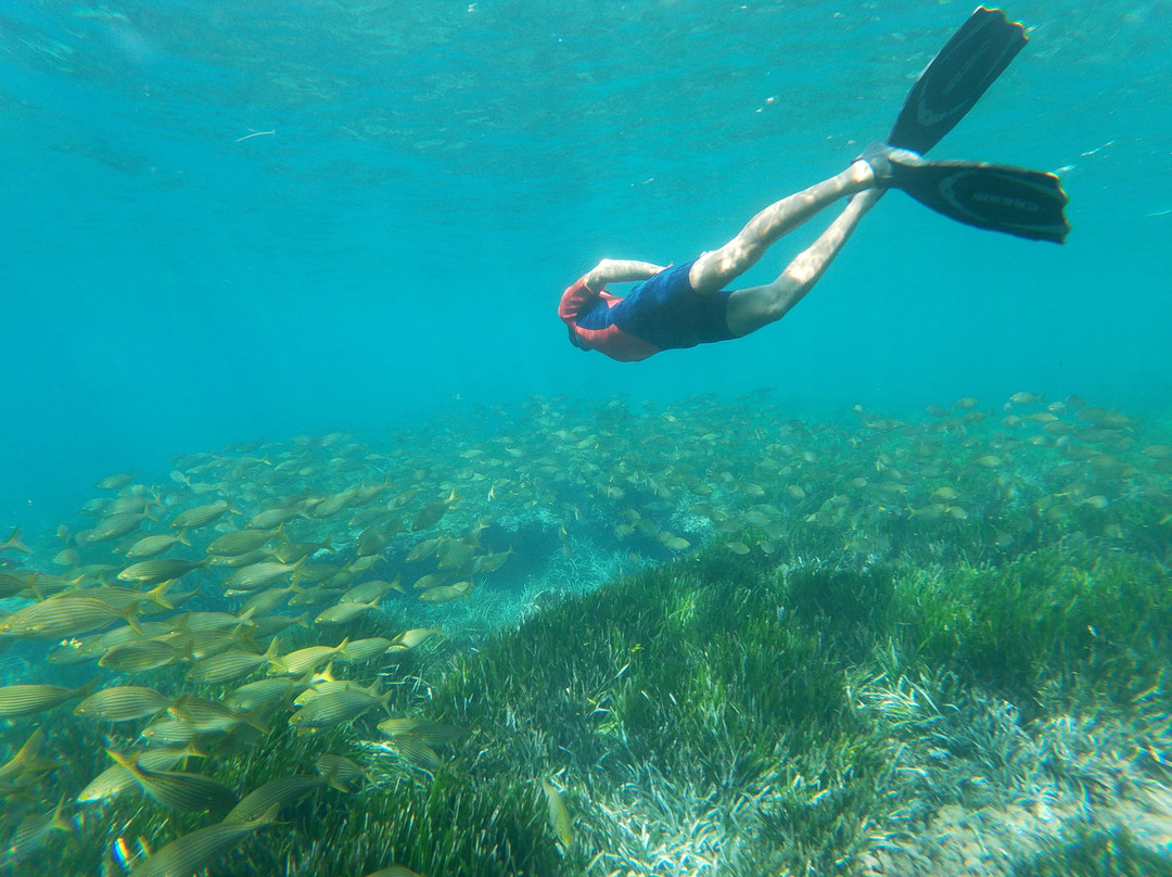 Snorkel Cabo de Gata景点图片