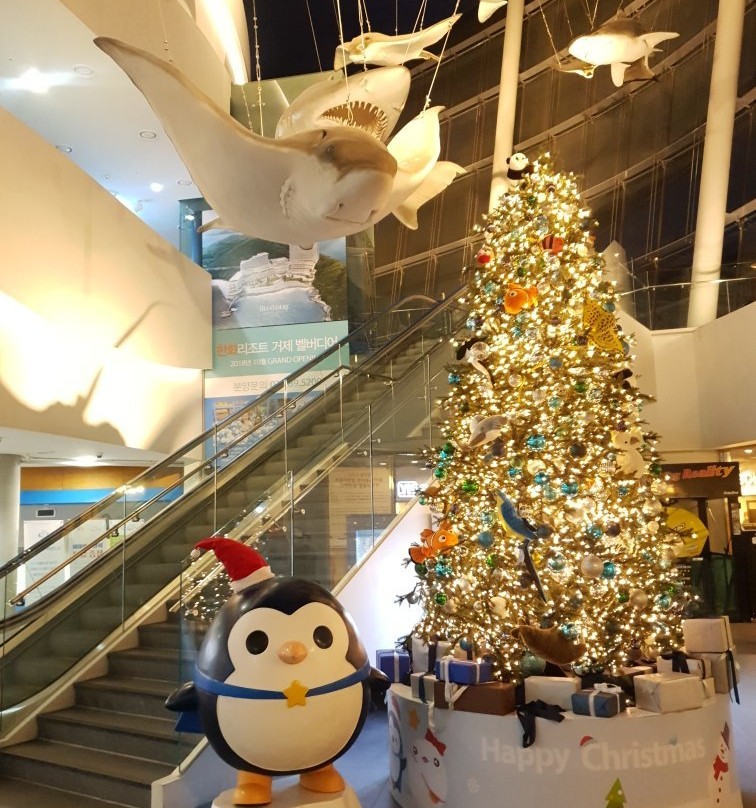 Hanwha Aqua Planet Ilsan-高阳市必去景点