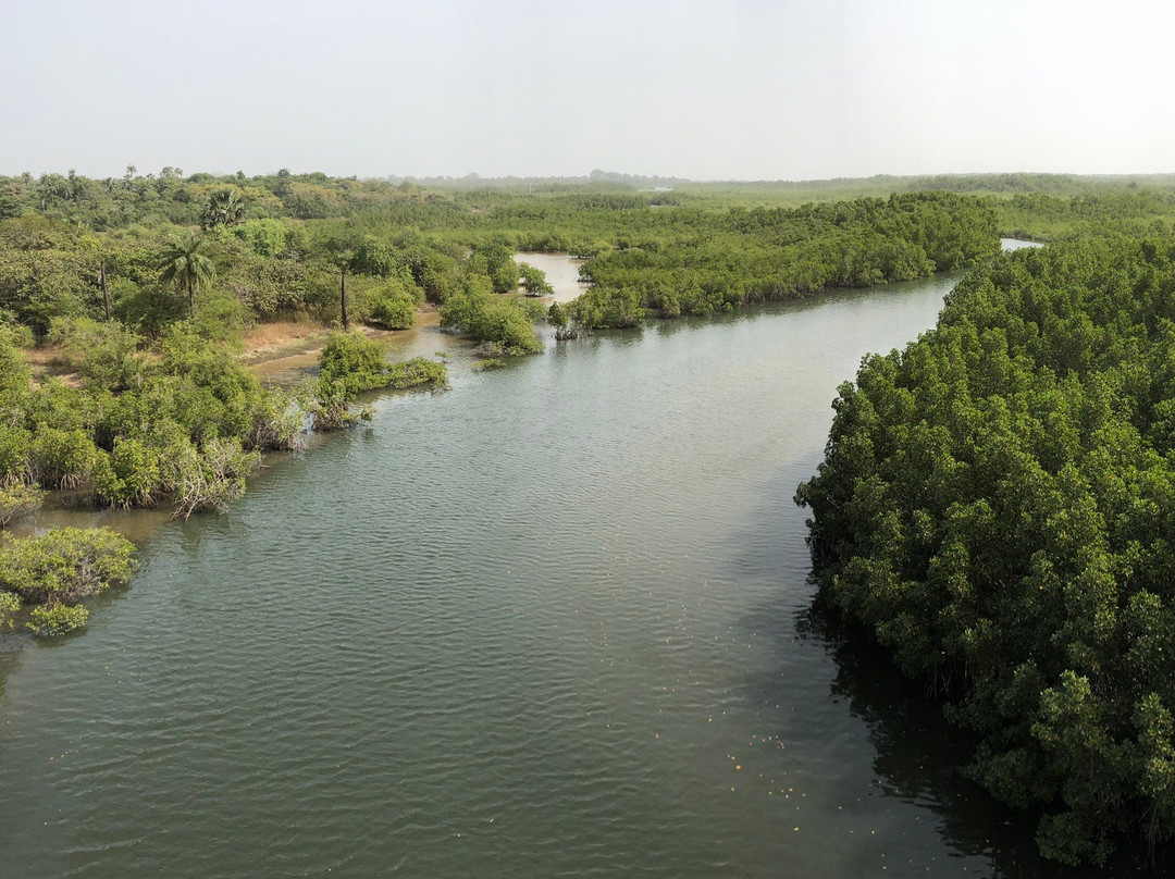 Makasutu Culture Forest