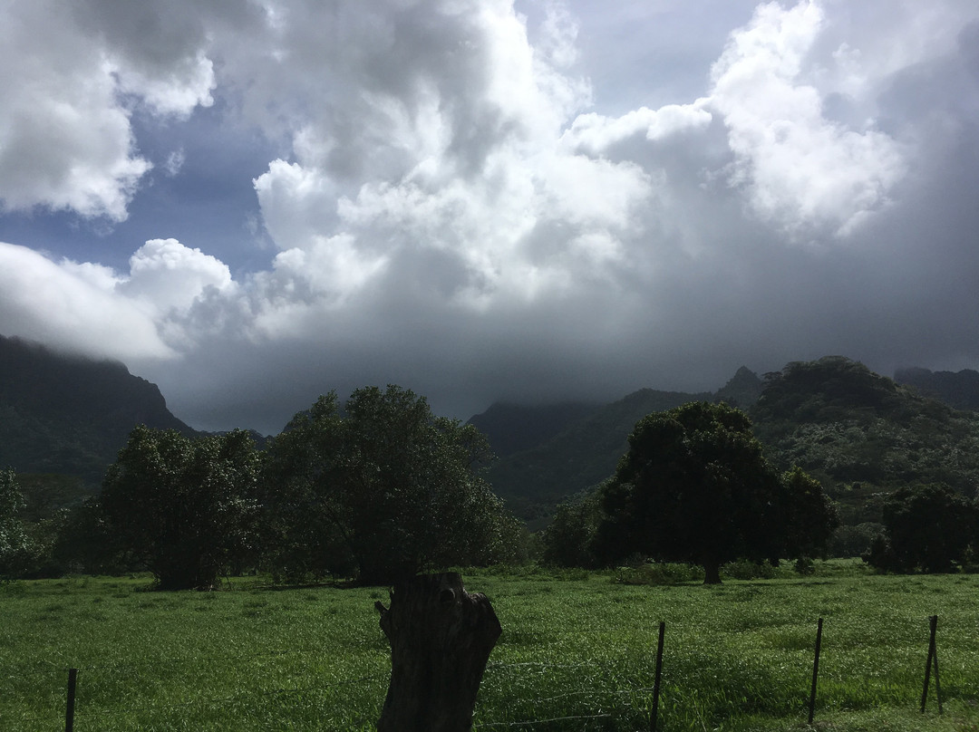 Lycée Agricole Opunohu-莫雷阿岛必去景点
